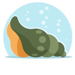Mollusk