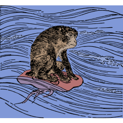 Monkey Rides a Jellyfish