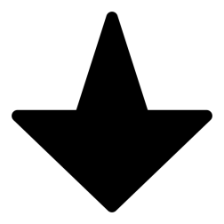 mono webcamreceive