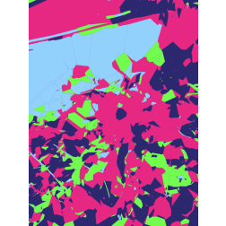 Neon Colorful Splatter