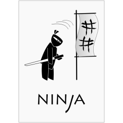 Ninja silhouette