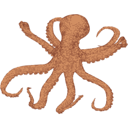 Animated octopus
