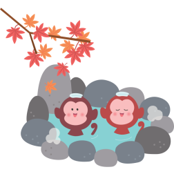 Monkeys in pool