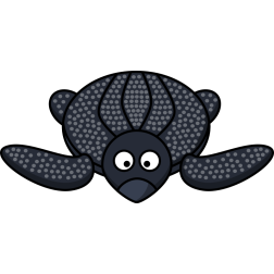 Leatherback Turtle