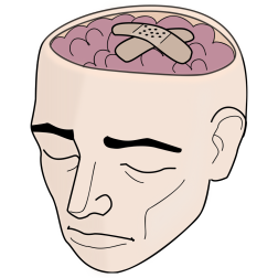 Human Head With Open Brain and Bandages
