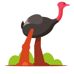 An ostrich