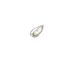 Oyster-1624398745