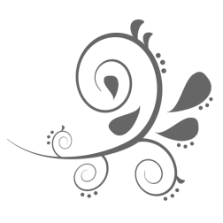 Paisley Curves VEctor