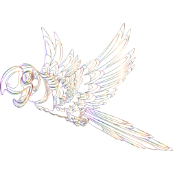 Conor outlined parrot