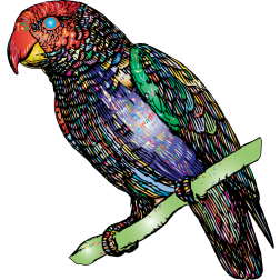 Parrot With Prismatic Pattern