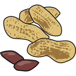 Peanuts