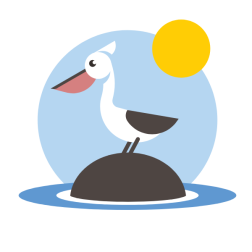 A pelican