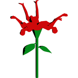 Weird red rose