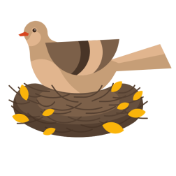 Pigeon in a nest