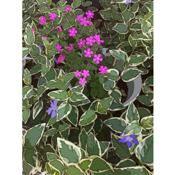 Pink flowers flow