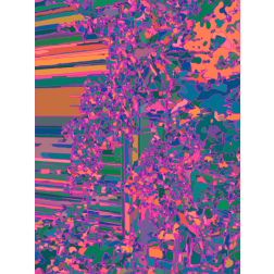 Pink Splatter Background