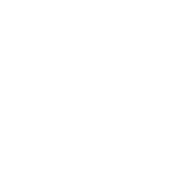 2D Chess set - King 2