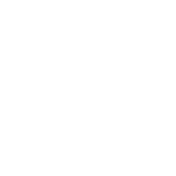 2D Chess set - Pawn 2