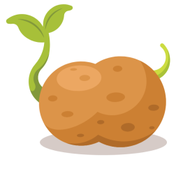 Growing potatoes