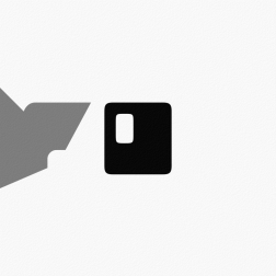 Stylised Letter r and o
