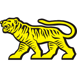 Siberian tiger