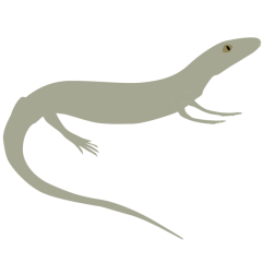 protorothyris