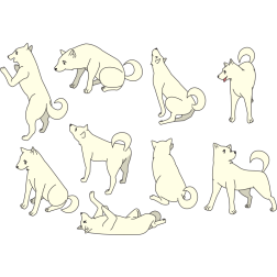 Anjing sedang bergaya