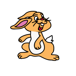 rabbit 1