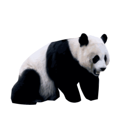 Panda-1669298814
