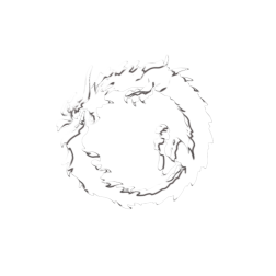 Dragon plain silhouette