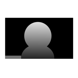 Remote meeting window