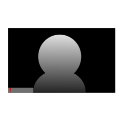 Online meeting window