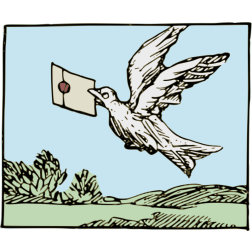 Pigeon Post