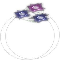 ring3
