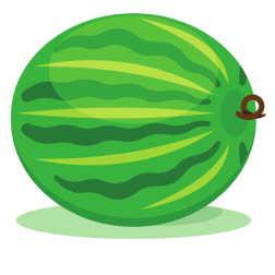 Ripe watermelon