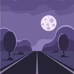 Road in the night