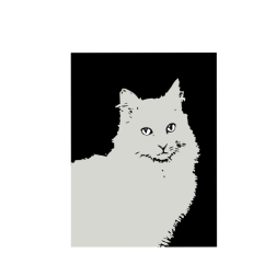 Cat silhouette-1629490487