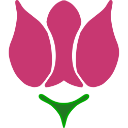 rose01