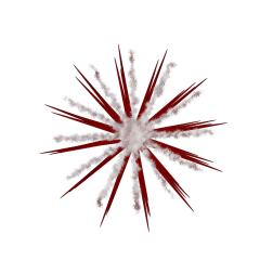 Star-shaped object
