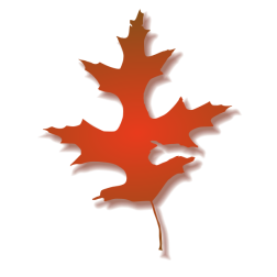 Oak Leaf - Autumn 2