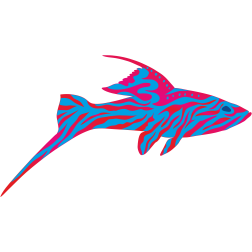Exotic fish