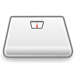 scale06