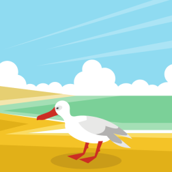 Seagull on the beach