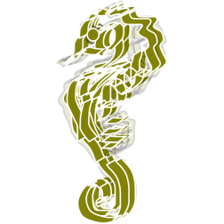 seahorse11