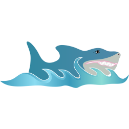 Shark fish
