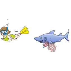 Shark and a diver