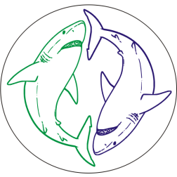 Two white sharks