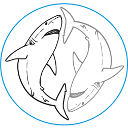 Great White Shark yinyang black gray
