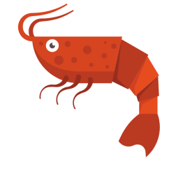 A red shrimp
