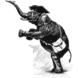 Smart elephant